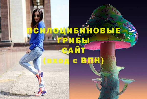 скорость Белокуриха