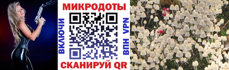 Псилоцибиновые грибы MAGIC MUSHROOMS  Тутаев 